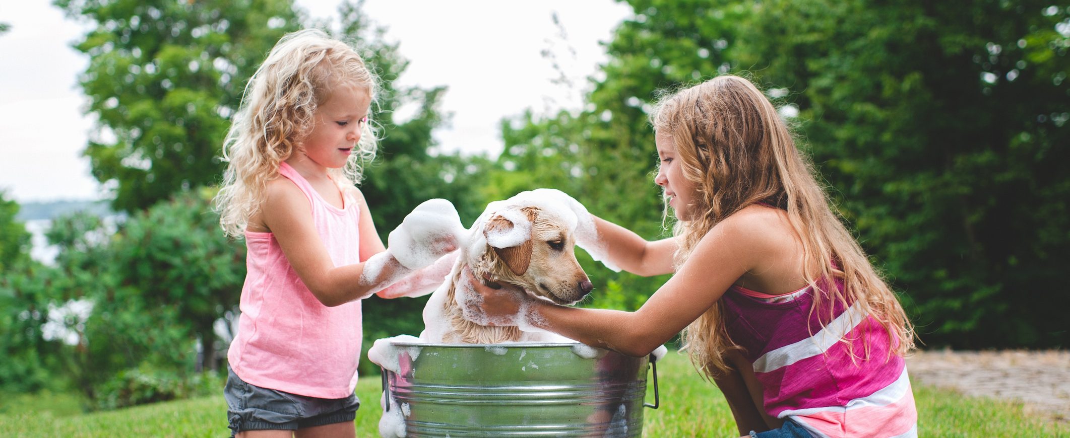 Two sisters washing the family dog outdoors in a large bucket.