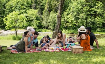 A family including kids and babies has a picnic by a river in the summer.