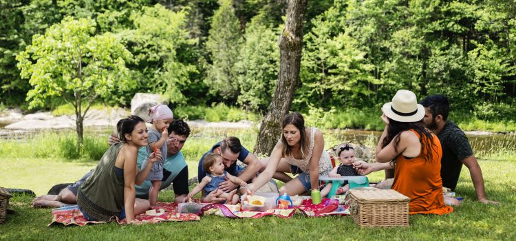 A family including kids and babies has a picnic by a river in the summer.
