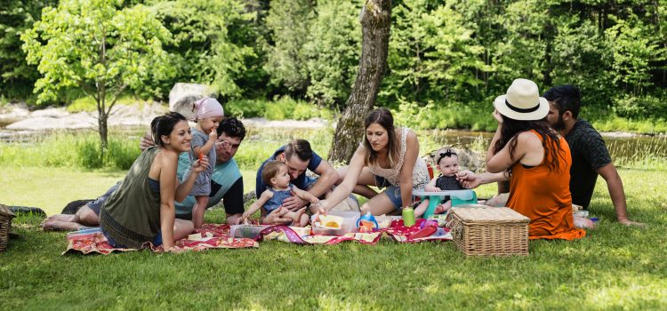 A family including kids and babies has a picnic by a river in the summer.