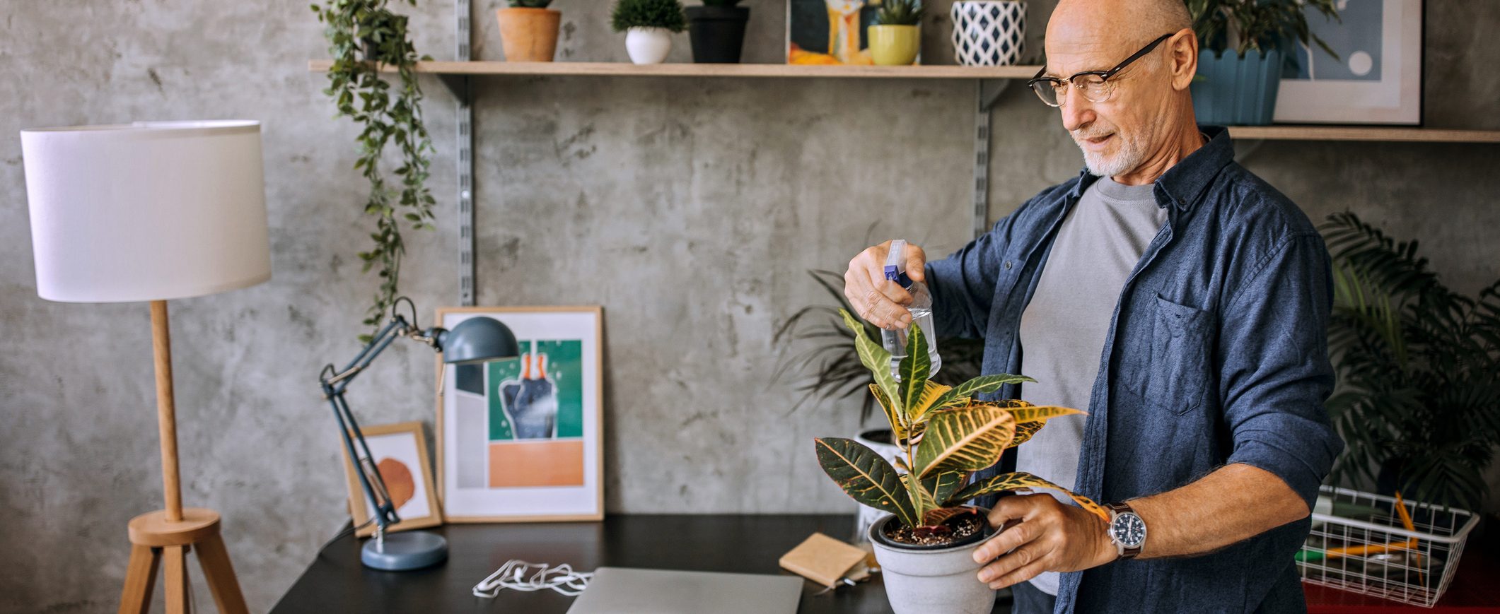 An older man stands at a home office and sprays a potted plant with water.