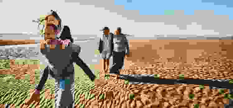 Two couples walk along the beach.