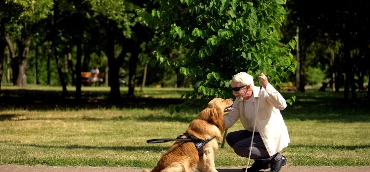 A blind man crouches in front of his service god in a park.