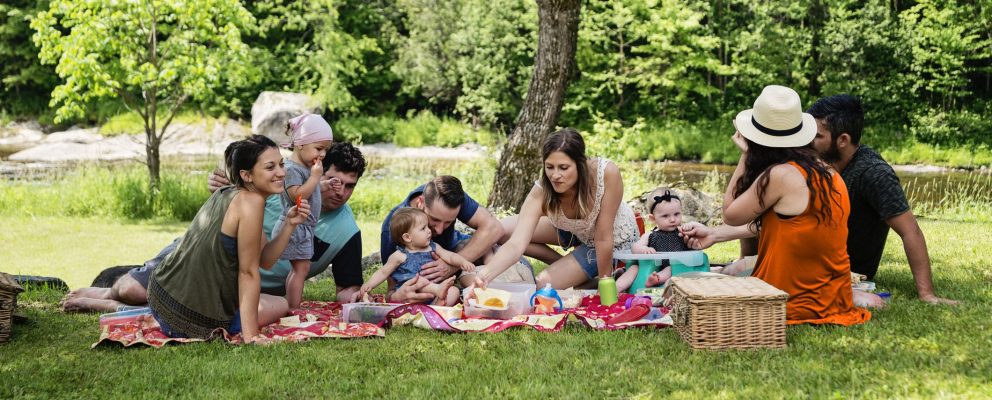 A family including kids and babies has a picnic by a river in the summer.