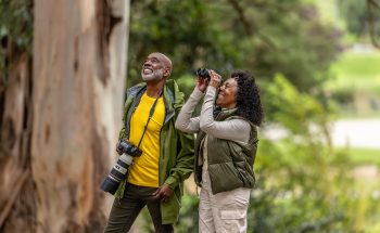 A retired couple watches birds in the woods.