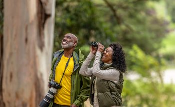 A retired couple watches birds in the woods.